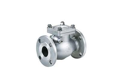 Check valve