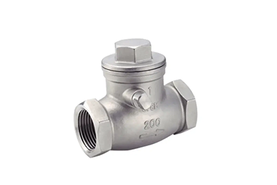 Check valve