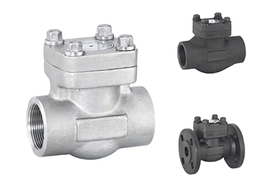 Forged steel reverse check valve