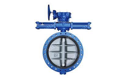 Marine Butterfly Valve